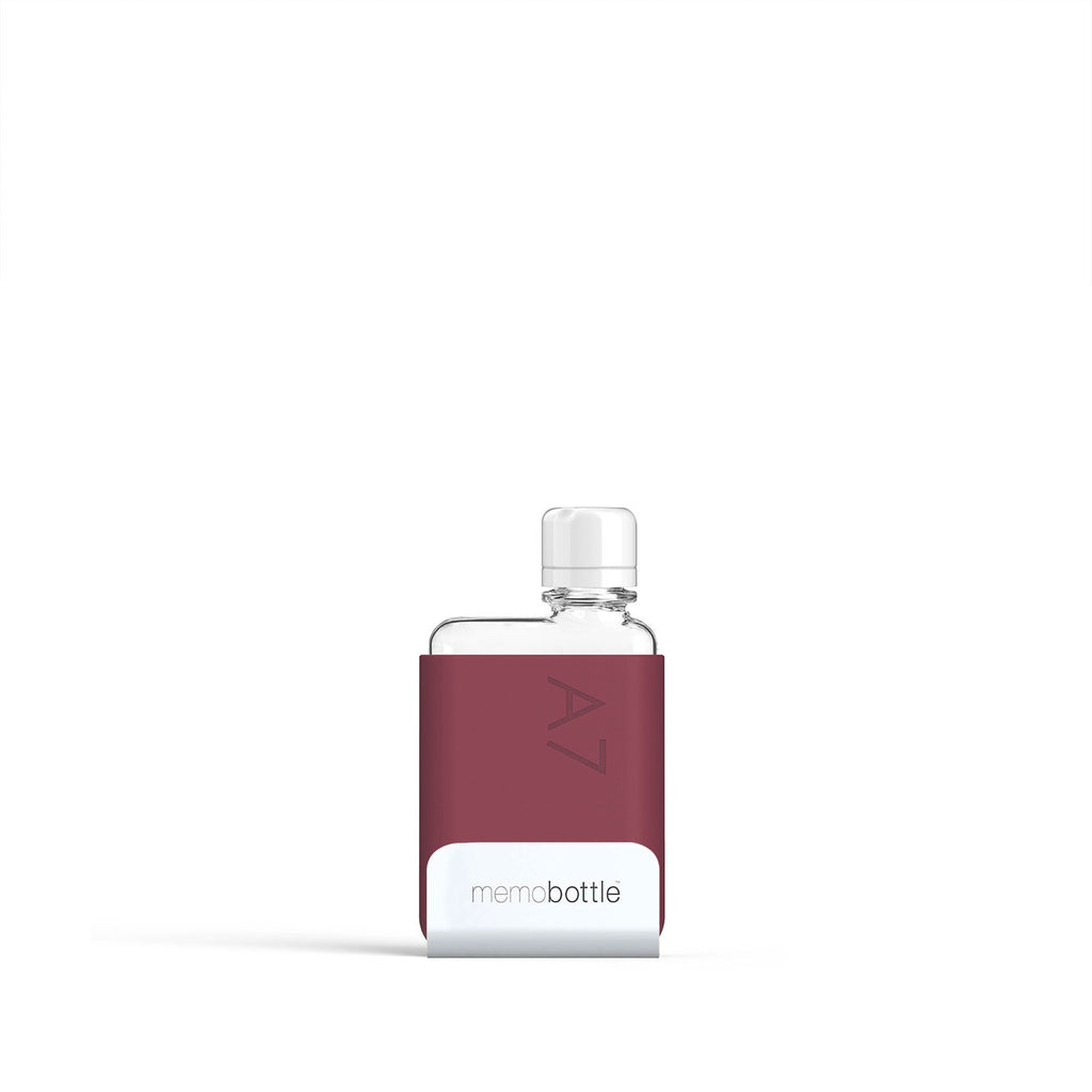 Water bottle with handle, flat water bottle, travel water bottle, Fruit infusion water bottle